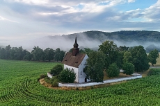 Veveří