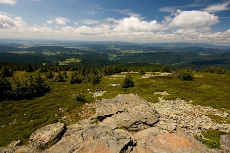 Pecný