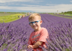 LEVANDULOVÁ FARMA STAROVIČKY