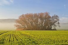 pod Zlobicí