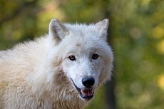 ZOO Brno